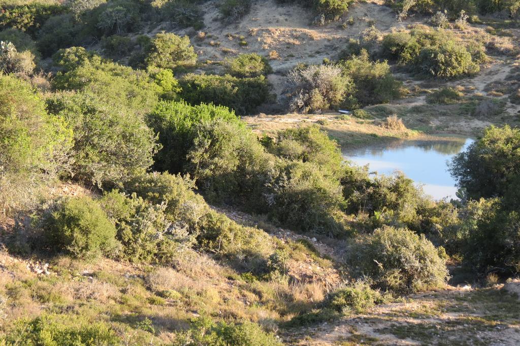 Kudu Ridge Game Lodge Addo Exterior foto