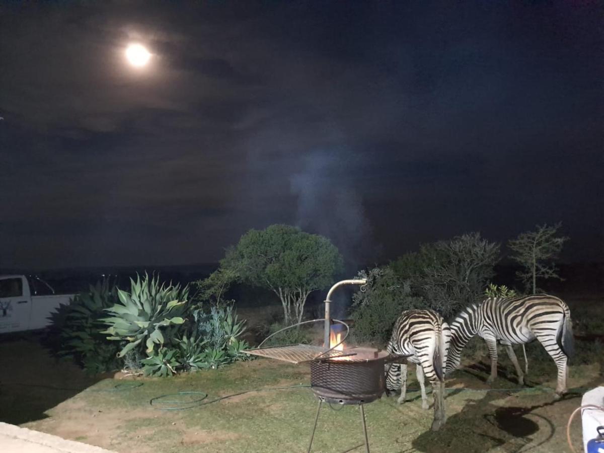 Kudu Ridge Game Lodge Addo Exterior foto