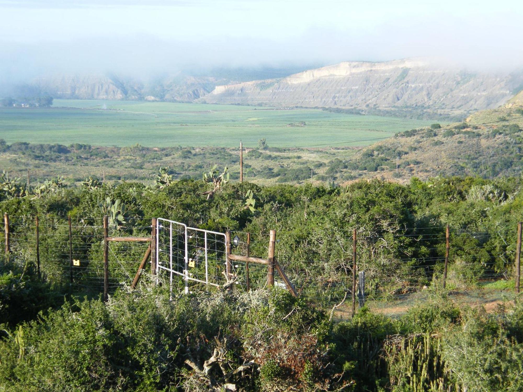 Kudu Ridge Game Lodge Addo Exterior foto