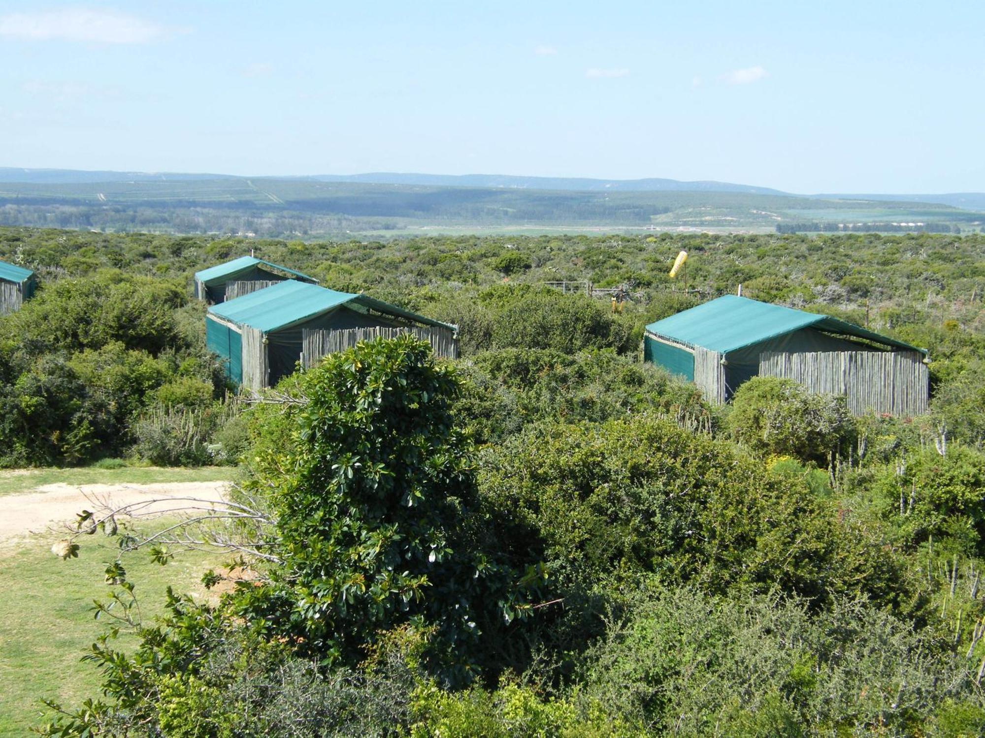 Kudu Ridge Game Lodge Addo Cameră foto